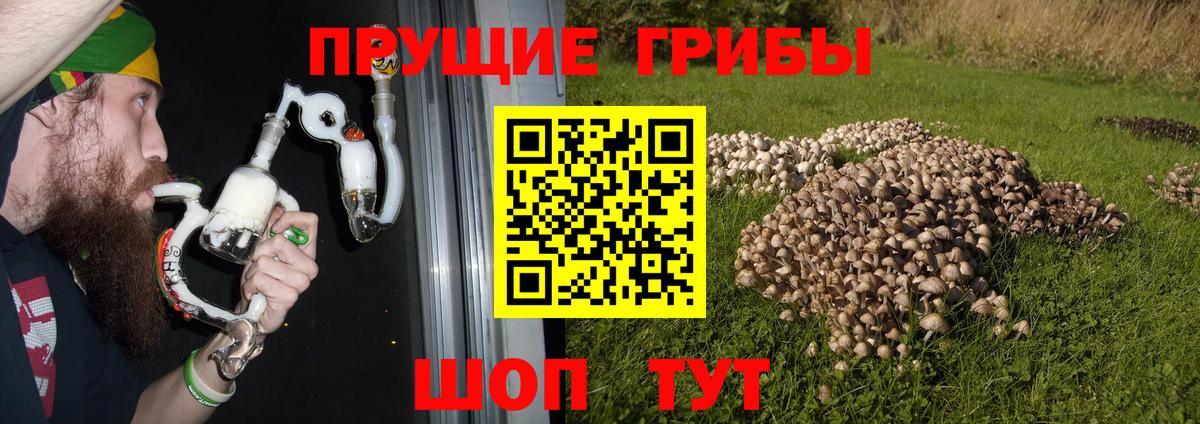 Псилоцибиновые грибы прущие грибы Реутов
